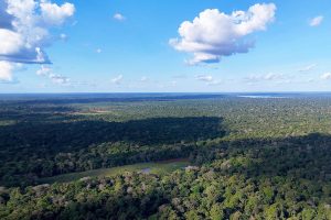 Leia mais sobre o artigo Judiciário se mobiliza para atuar em soluções de conflitos fundiários na Amazônia Legal 