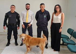 Leia mais sobre o artigo Projeto “Patas que Acolhem” presta atendimento a vítimas no Fórum de Anastácio (MS)