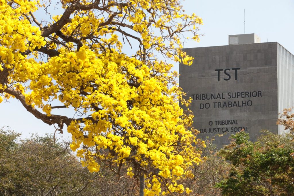 Prédio do Tribunal Superior do Trabalho ao fundo, com árvore de ipê-amarelo florida em destaque à esquerda.