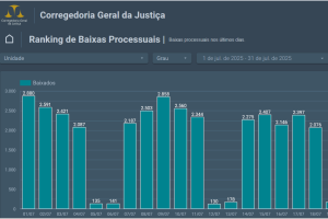 Leia mais sobre o artigo Comarcas do Maranhão baixam quase 50 mil processos em julho