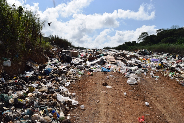 Você está visualizando atualmente Semana da Pauta Verde no Amapá: acordo histórico viabiliza solução do lixão de Oiapoque